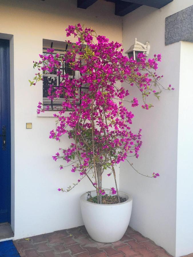 Bed and Breakfast Haritza Anglet Exterior foto